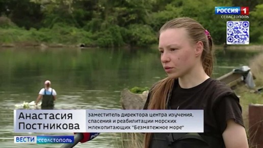 Состояние дельфина, которому дали имя Бублик и которого почти две недели выхаживают волонтёры в Карантинной бухте, ухудшается