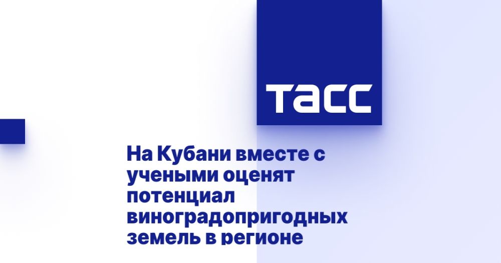 На Кубани вместе с учеными оценят потенциал виноградопригодных земель в регионе