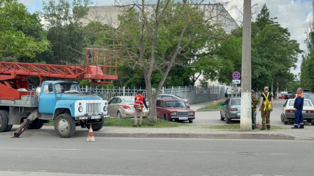 Олег Каторгин: На улице Шлагбаумской сотрудники Службы городского хозяйства проводят снос аварийных деревьев, которые могли представлять опасность, а также выполняют санитарную обрезку веток Олег Каторгин: На улице Шлагбаумской сотрудники Службы городского хозяйства проводят снос аварийных деревьев, которые могли представлять опасность, а также выполняют санитарную обрезку веток