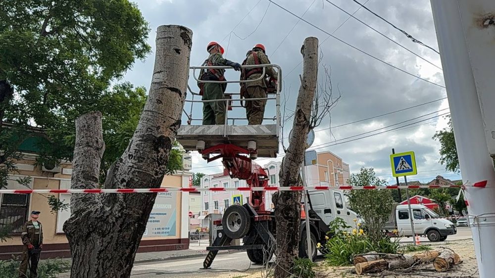 Олег Каторгин: На улице Шлагбаумской сотрудники Службы городского хозяйства проводят снос аварийных деревьев, которые могли представлять опасность, а также выполняют санитарную обрезку веток Олег Каторгин: На улице Шлагбаумской сотрудники Службы городского хозяйства проводят снос аварийных деревьев, которые могли представлять опасность, а также выполняют санитарную обрезку веток