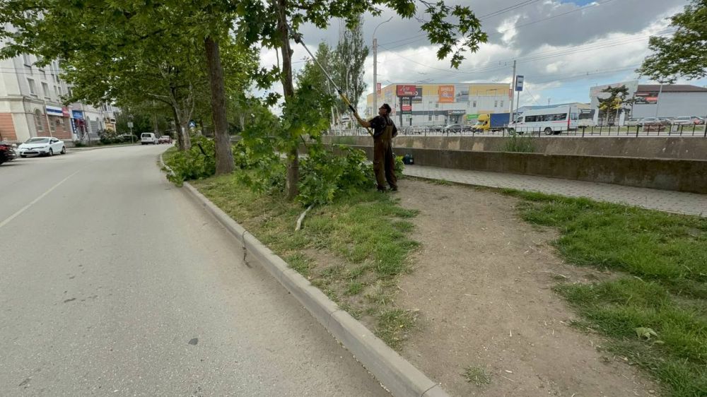 Олег Каторгин: На улице Шлагбаумской сотрудники Службы городского хозяйства проводят снос аварийных деревьев, которые могли представлять опасность, а также выполняют санитарную обрезку веток Олег Каторгин: На улице Шлагбаумской сотрудники Службы городского хозяйства проводят снос аварийных деревьев, которые могли представлять опасность, а также выполняют санитарную обрезку веток