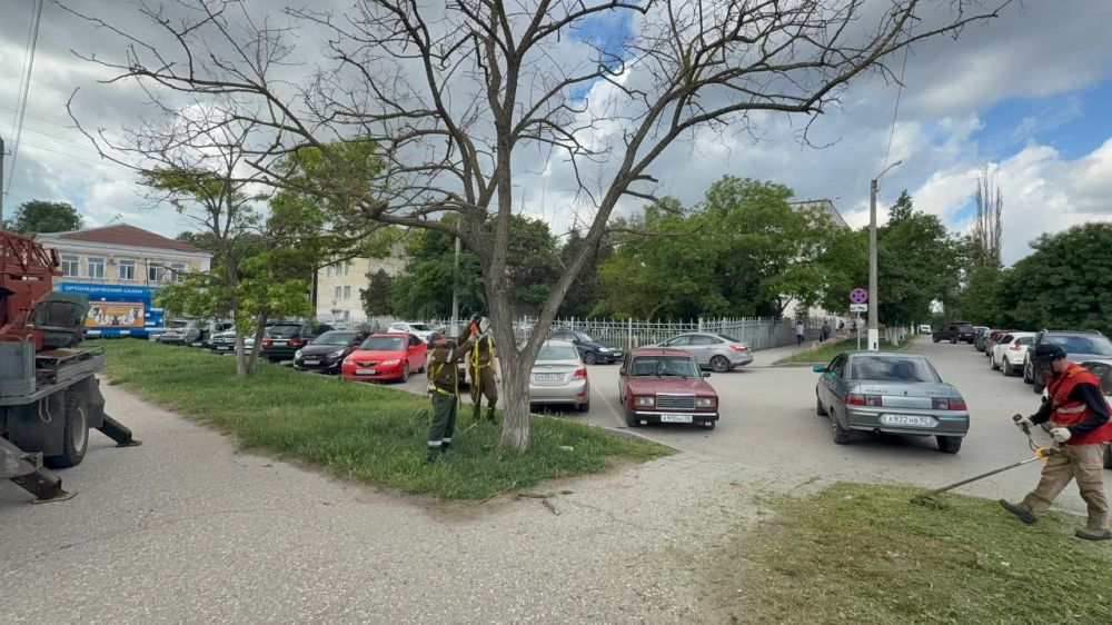 Олег Каторгин: На улице Шлагбаумской сотрудники Службы городского хозяйства проводят снос аварийных деревьев, которые могли представлять опасность, а также выполняют санитарную обрезку веток Олег Каторгин: На улице Шлагбаумской сотрудники Службы городского хозяйства проводят снос аварийных деревьев, которые могли представлять опасность, а также выполняют санитарную обрезку веток