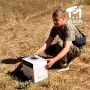 Степную птицу из Красной книги подобрали прямо на трассе