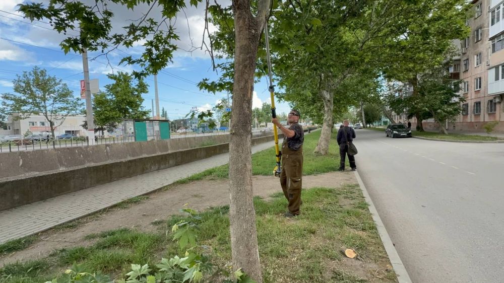 Олег Каторгин: На улице Шлагбаумской сотрудники Службы городского хозяйства проводят снос аварийных деревьев, которые могли представлять опасность, а также выполняют санитарную обрезку веток Олег Каторгин: На улице Шлагбаумской сотрудники Службы городского хозяйства проводят снос аварийных деревьев, которые могли представлять опасность, а также выполняют санитарную обрезку веток