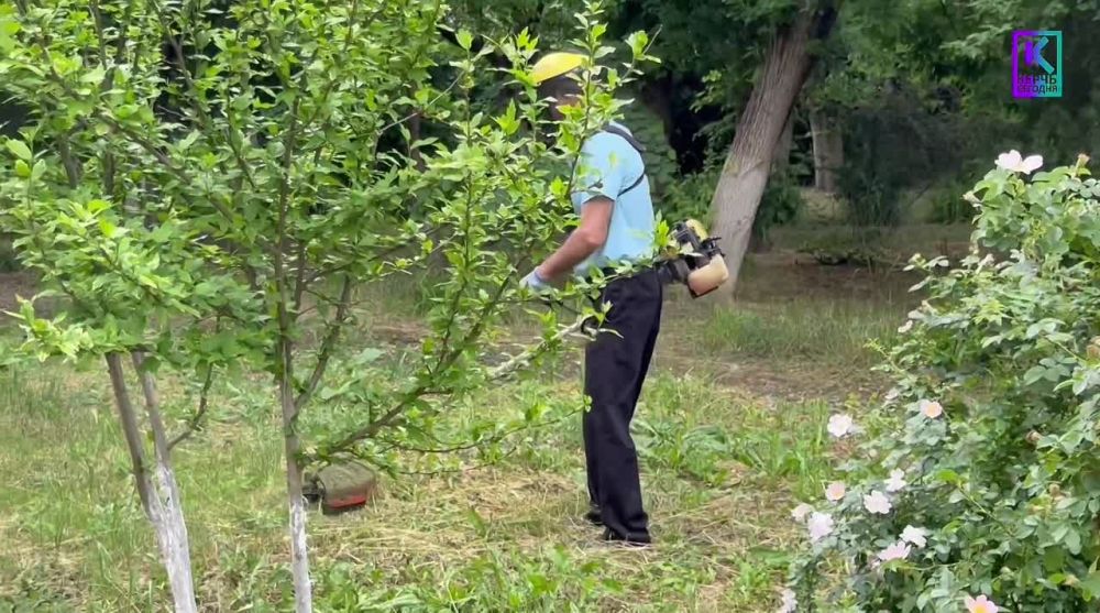 Олег Каторгин: Сотрудники зеленхоза Керчи выполняют ежедневную работу по уходу за растениями