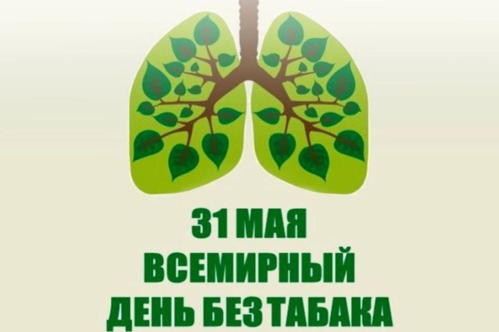 31  -    .