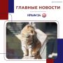 Последние события в режиме онлайн