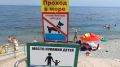 В Крыму турпоток вырос на 40% по сравнению с 2024 годом - АТОР