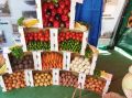 Крым в полном объёме обеспечен продуктами сельского хозяйства