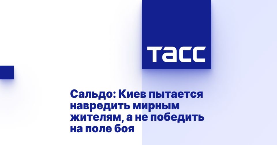 Сальдо: Киев пытается навредить мирным жителям, а не победить на поле боя