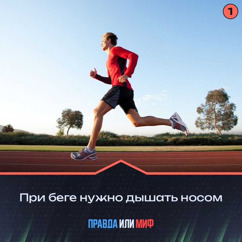 Бег — вид спорта, относящийся к лёгкой атлетике