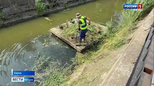           ,            