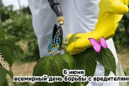 6       .