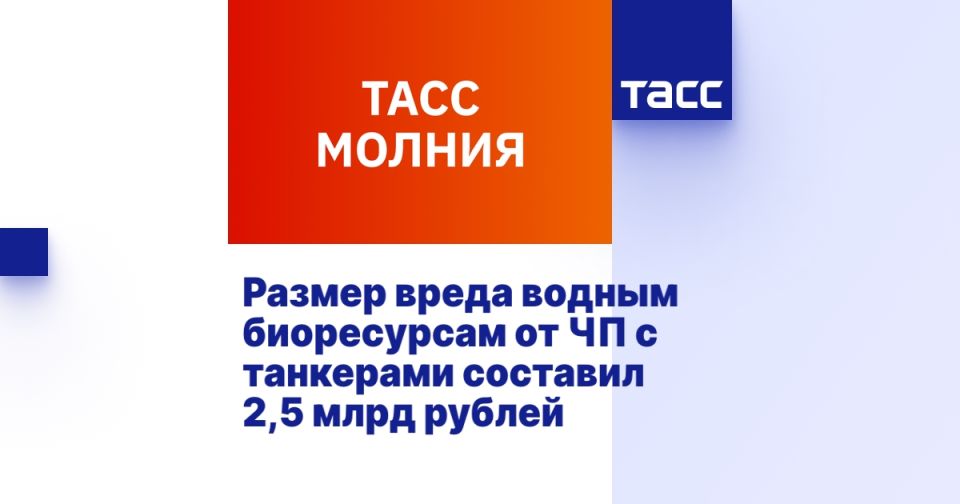          2,5  