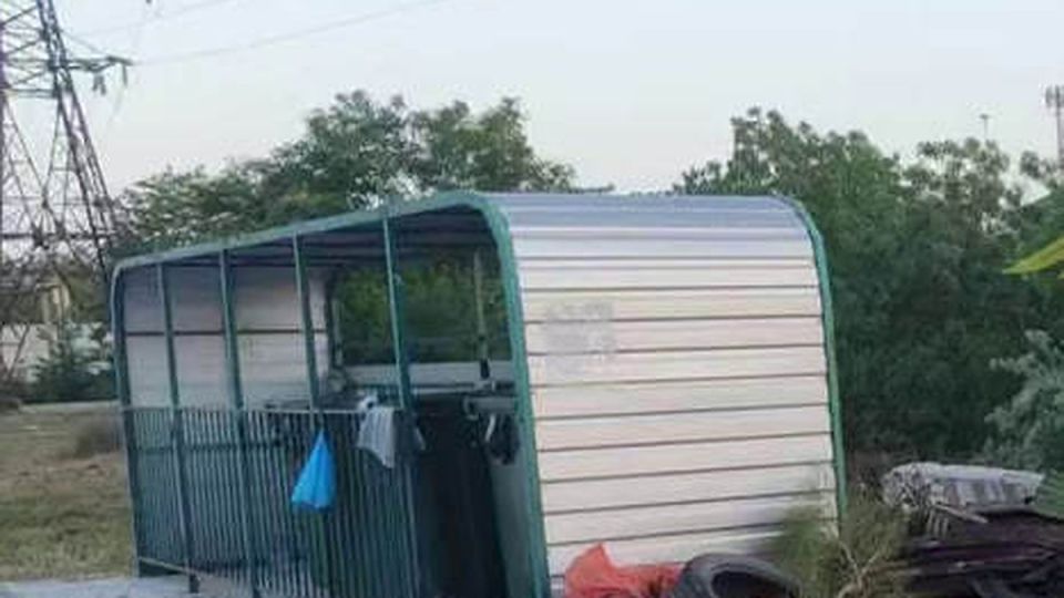     :      
