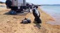 128 мешков мазута подняли со дна моря в Анапе