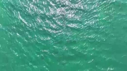  :     ,   ,       