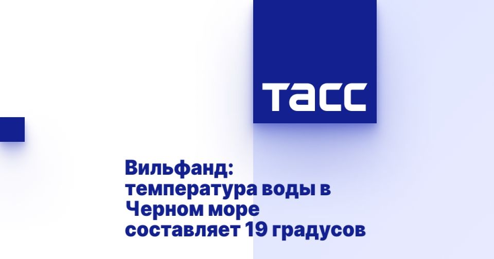 :       19 