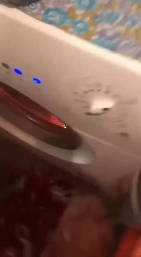 +1 ..          ,    