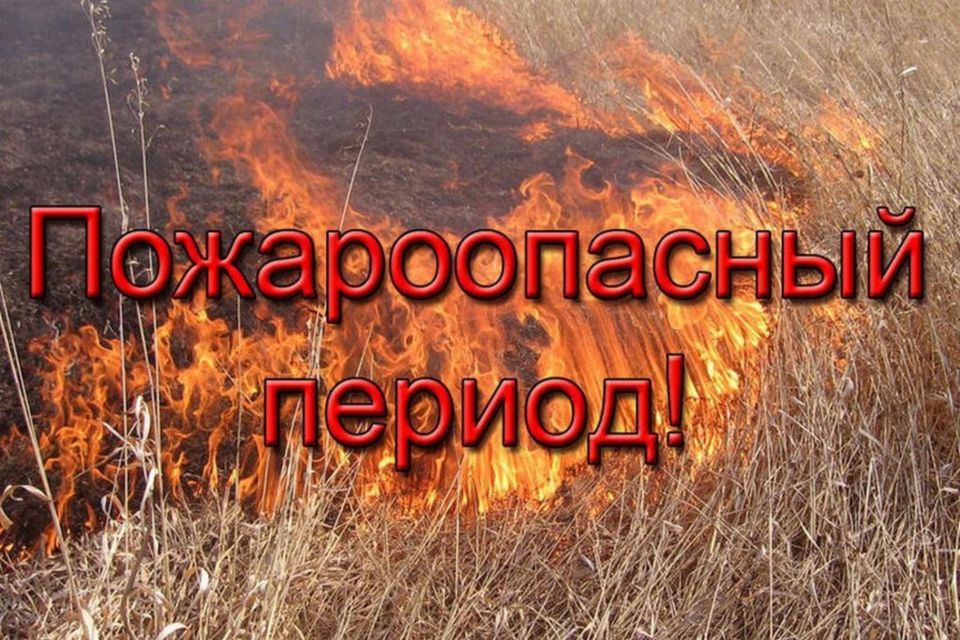   .           :
