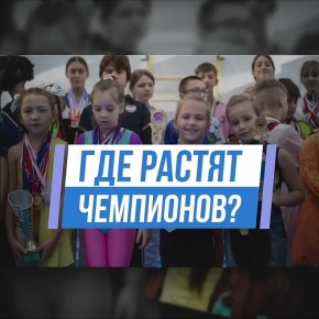 Спорт становится нормой жизни для крымчан