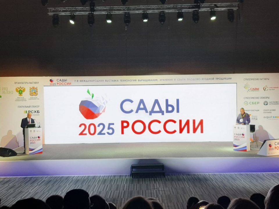       2025:  , , !