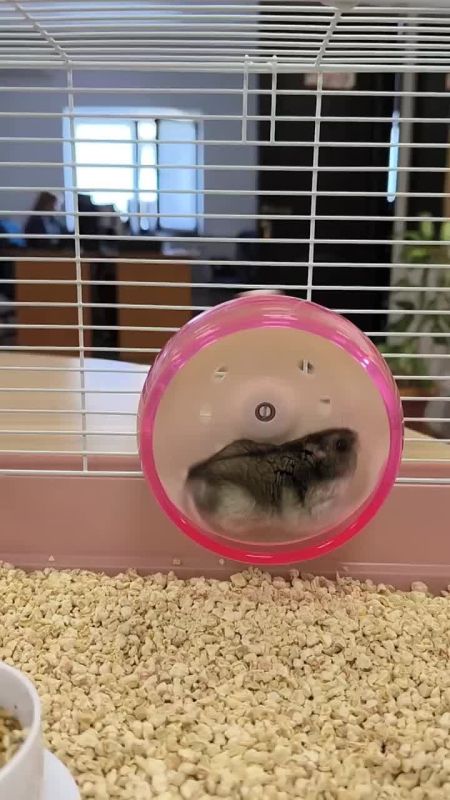  :       