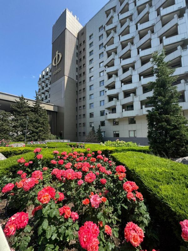 В Форосском парке розы – настоящее украшение