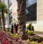 В Ялте призвали бережней относиться к клумбам с цветами