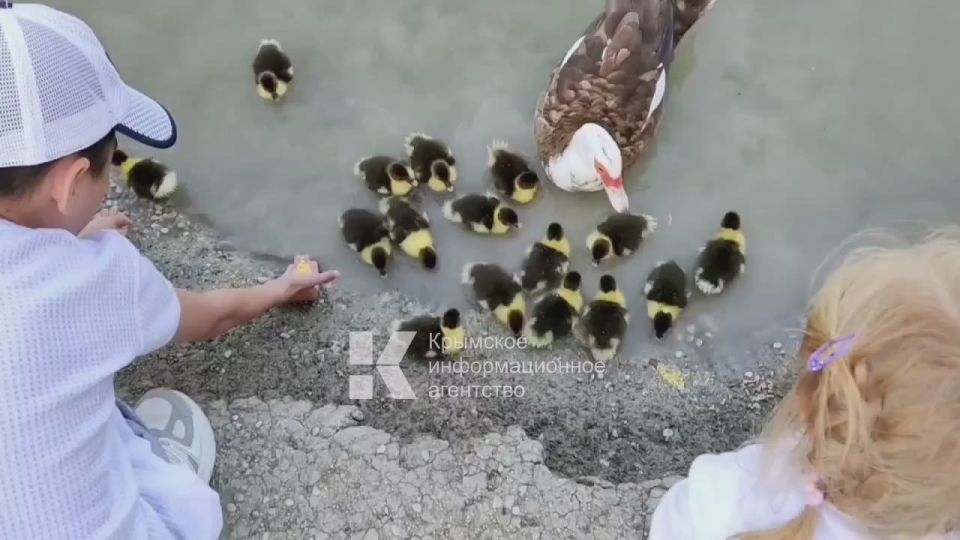 --    