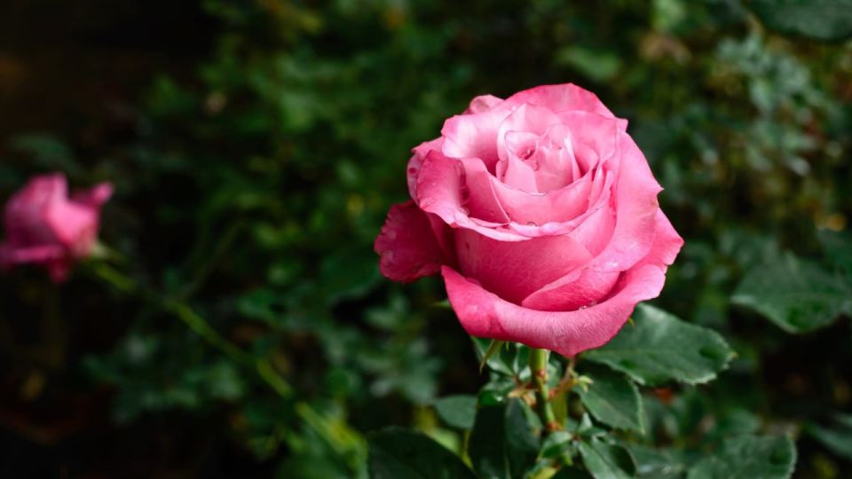  !.    19 