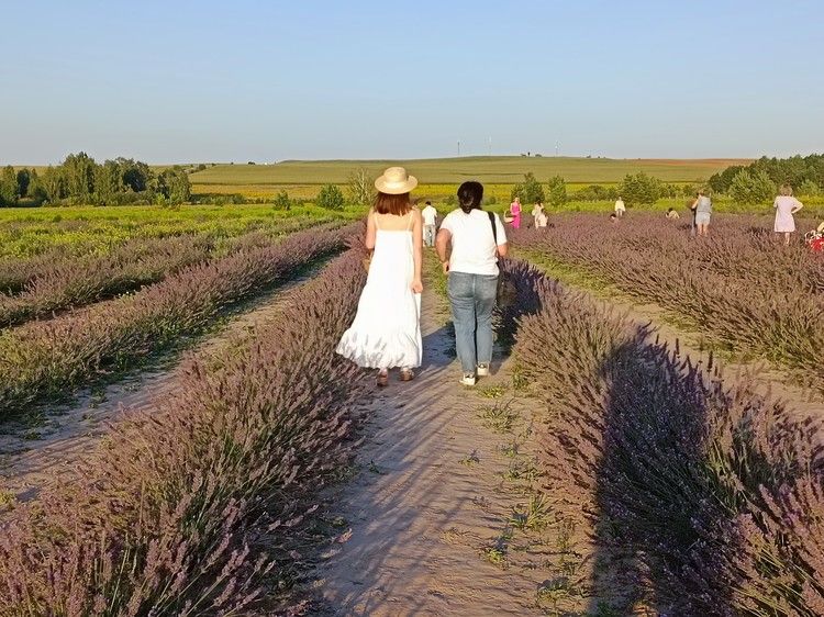 Музыкой насладиться, с актерами пообщаться: какие фестивали пройдут в Крыму в июле 2025
