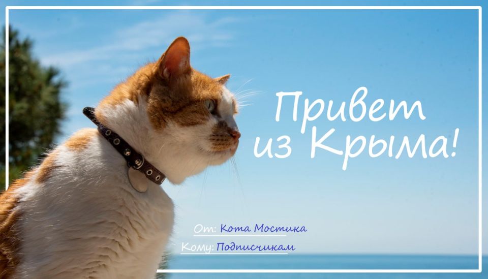  :    !.      ,    ,  ,    @cat_the_most