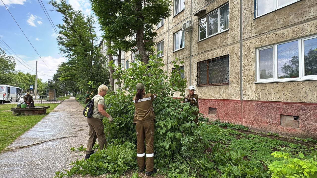 Сотрудники зеленого хозяйства проводят работы по уходу за зелеными насаждениями вдоль улицы Свердлова Сотрудники зеленого хозяйства проводят работы по уходу за зелеными насаждениями вдоль улицы Свердлова