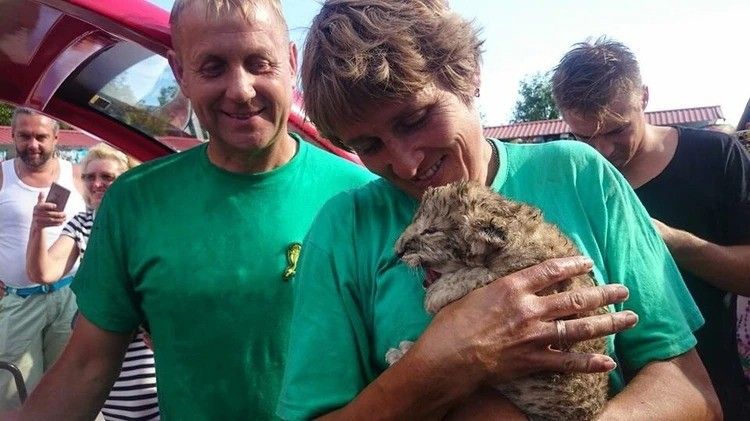 Нападение льва на владельца парка «Тайган» в Крыму: что произошло с Олегом Зубковым 22 июня 2025 года