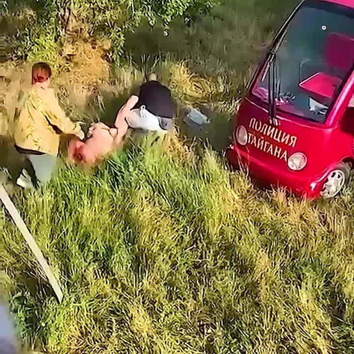    :    -
