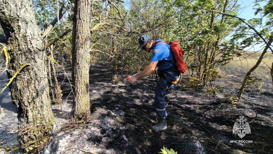 Ликвидировано горение сухой растительности в Симферопольском районе