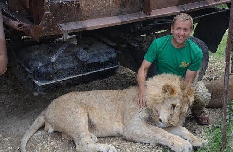 Тот же лев погубил Леокадию? На Олега Зубкова в «Тайгане» набросился привезенный из другого зоопарка хищник