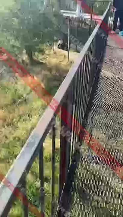             ,   