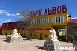 Кровь, львы и суды: история и трагедии крымского парка «Тайган» Кровь, львы и суды: история и трагедии крымского парка «Тайган»