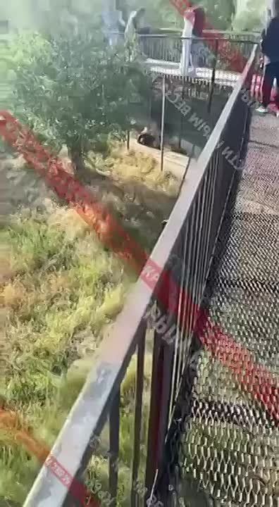  :     