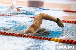 Депутат, глава спорторганизации и бывший следователь: кого расстреляли в Тульской области Депутат, глава спорторганизации и бывший следователь: кого расстреляли в Тульской области