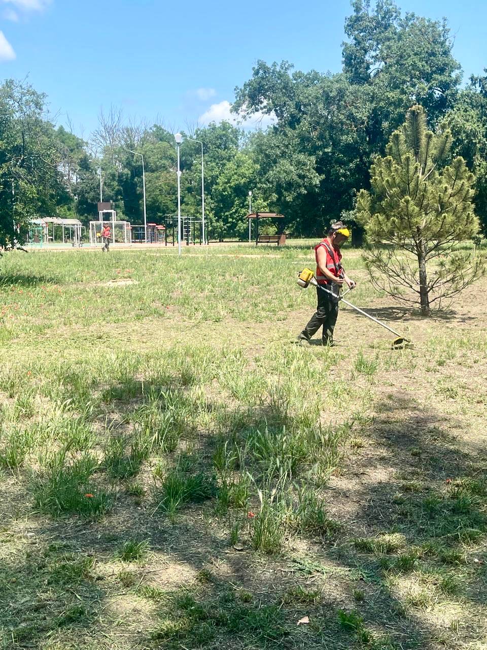 Продолжается покос травы по городу Продолжается покос травы по городу