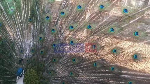  , !   ,        ,   ?