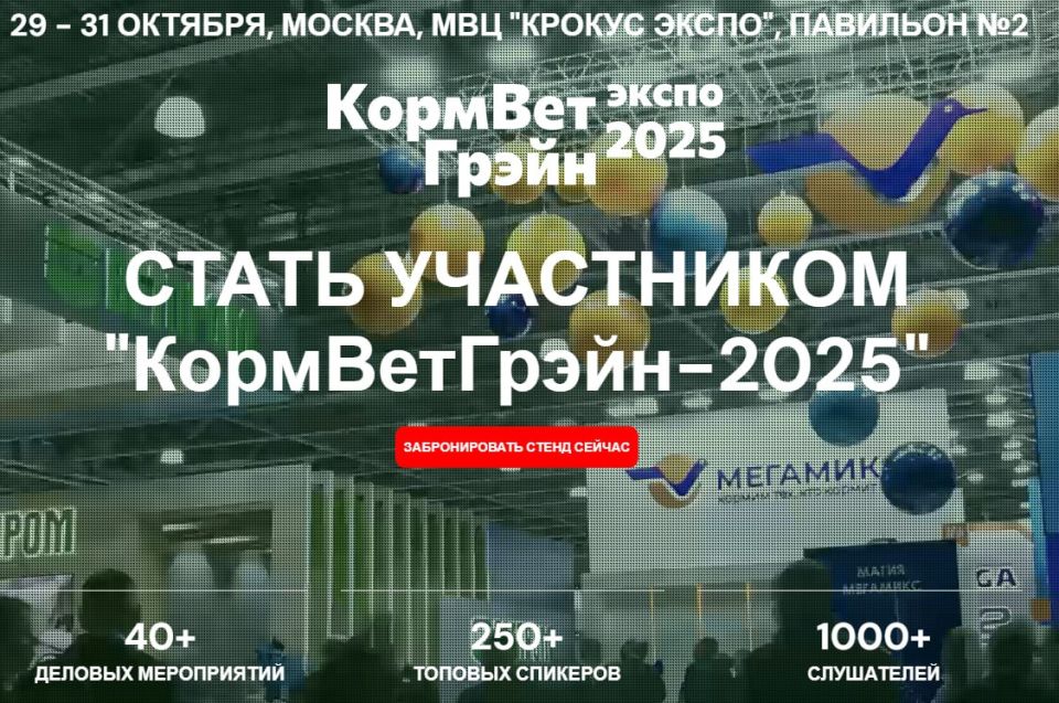  29  31  2025   .          ,  ,    -2025