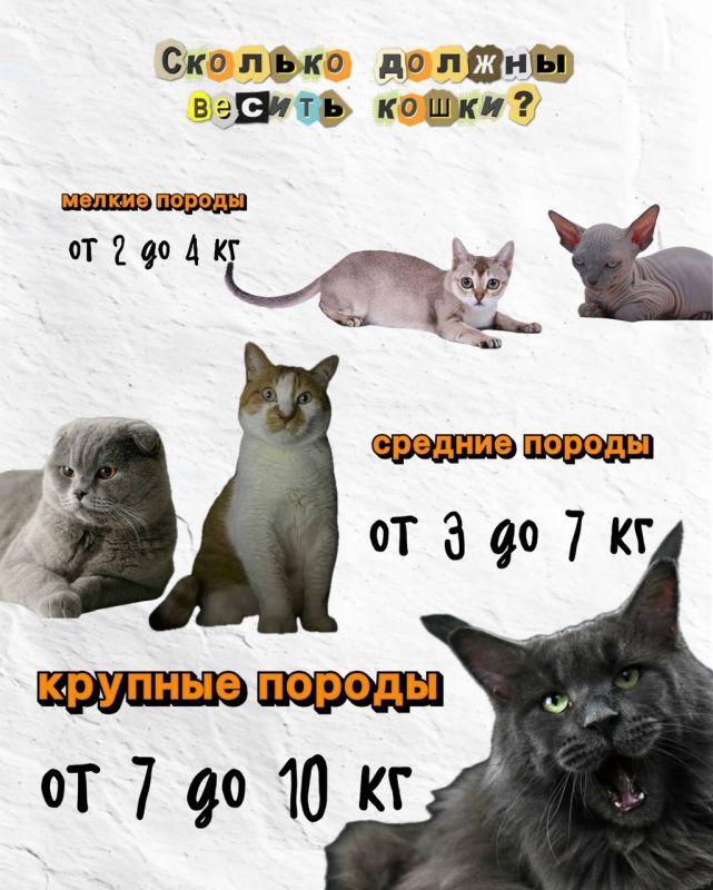  :  #       #
