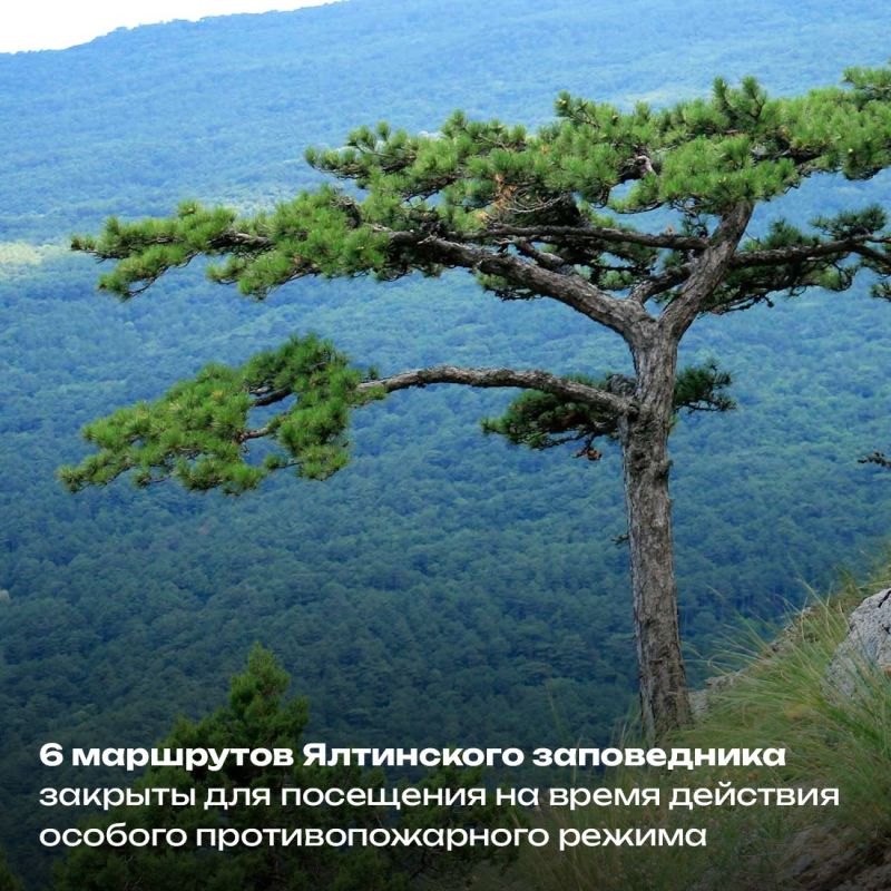  30             -  :