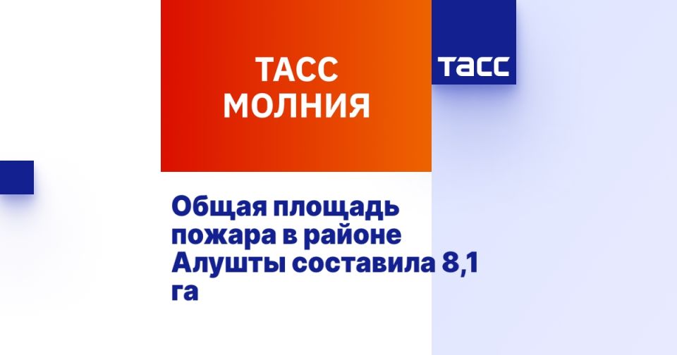        8,1 