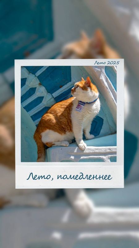  :    :  ,       !