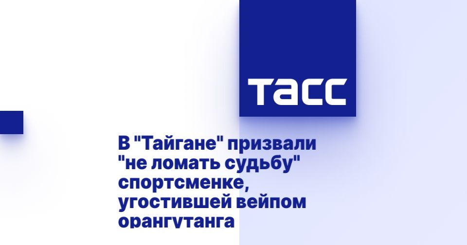  &quot;&quot;  &quot;  &quot; ,   